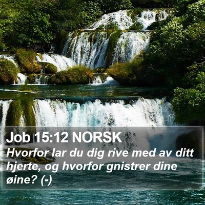 Job 15:12 NORSK Bible Verse Image