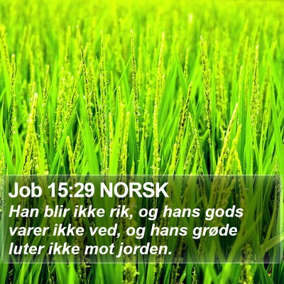 Job 15:29 NORSK Bible Verse Image