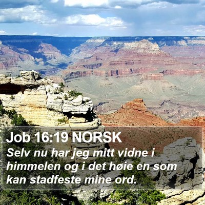 Job 16:19 NORSK Bible Verse Image
