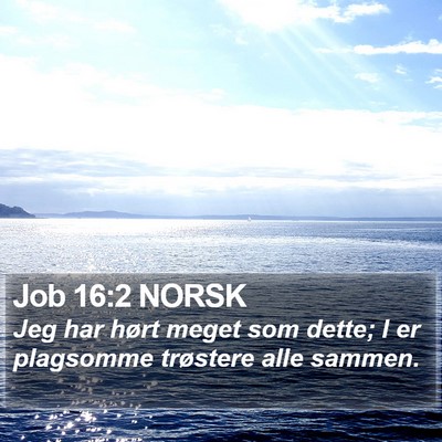 Job 16:2 NORSK Bible Verse Image