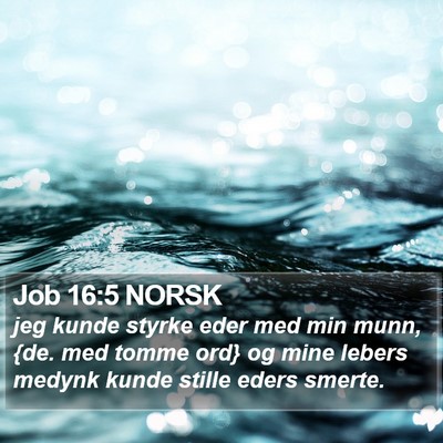 Job 16:5 NORSK Bible Verse Image
