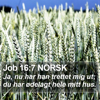 Job 16:7 NORSK Bible Verse Image