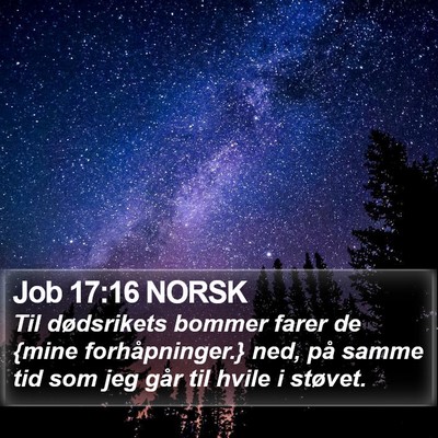 Job 17:16 NORSK Bible Verse Image