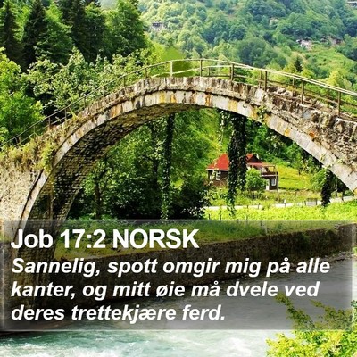 Job 17:2 NORSK Bible Verse Image
