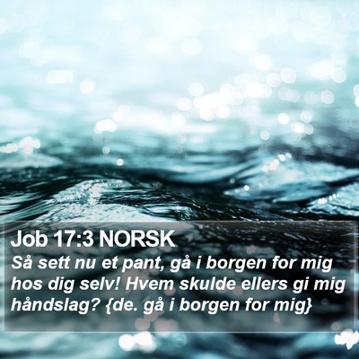 Job 17:3 NORSK Bible Verse Image