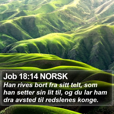 Job 18:14 NORSK Bible Verse Image