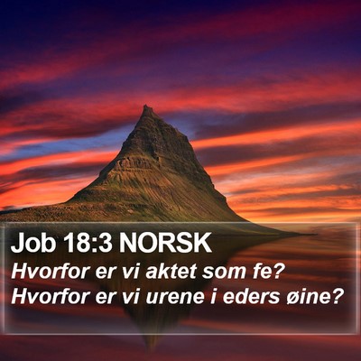 Job 18:3 NORSK Bible Verse Image
