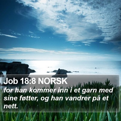 Job 18:8 NORSK Bible Verse Image