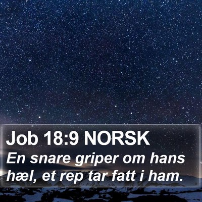 Job 18:9 NORSK Bible Verse Image