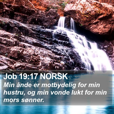 Job 19:17 NORSK Bible Verse Image