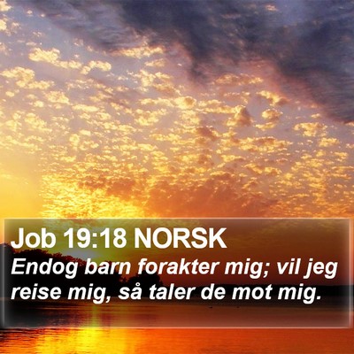 Job 19:18 NORSK Bible Verse Image
