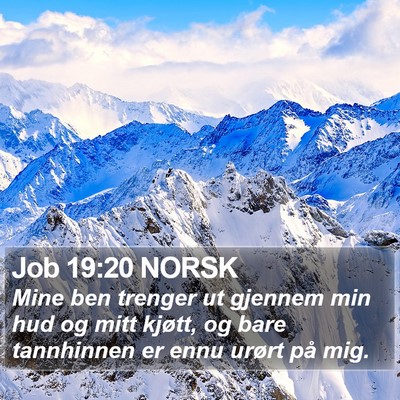 Job 19:20 NORSK Bible Verse Image