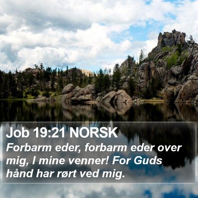 Job 19:21 NORSK Bible Verse Image