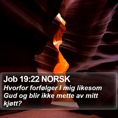 Job 19:22 NORSK Bible Verse Image