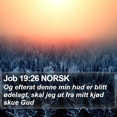 Job 19:26 NORSK Bible Verse Image