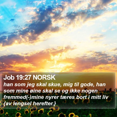 Job 19:27 NORSK Bible Verse Image