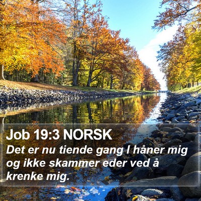 Job 19:3 NORSK Bible Verse Image