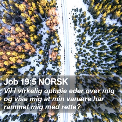 Job 19:5 NORSK Bible Verse Image
