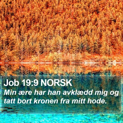 Job 19:9 NORSK Bible Verse Image