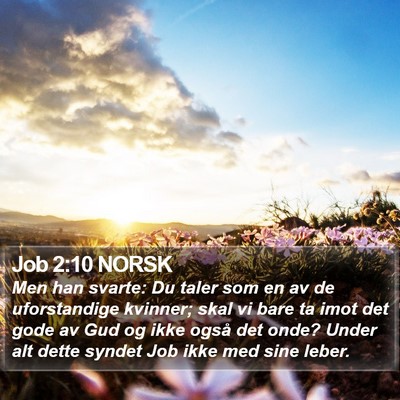 Job 2:10 NORSK Bible Verse Image