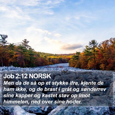 Job 2:12 NORSK Bible Verse Image