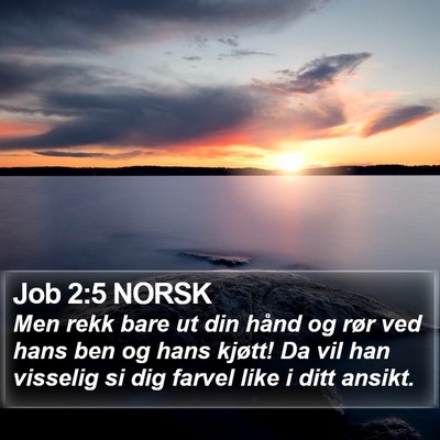 Job 2:5 NORSK Bible Verse Image