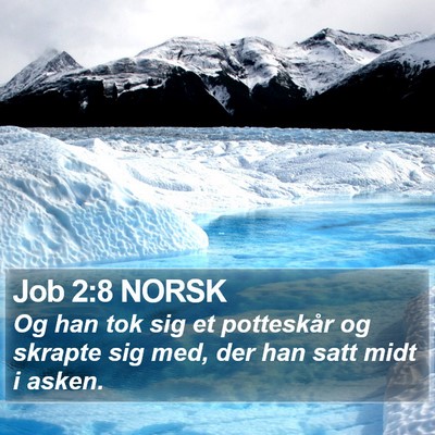 Job 2:8 NORSK Bible Verse Image
