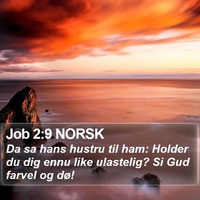 Job 2:9 NORSK Bible Verse Image