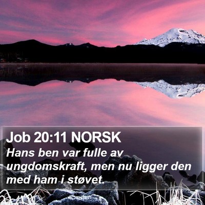 Job 20:11 NORSK Bible Verse Image