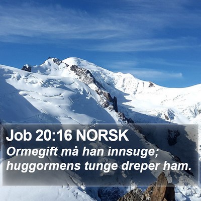 Job 20:16 NORSK Bible Verse Image