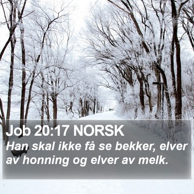 Job 20:17 NORSK Bible Verse Image