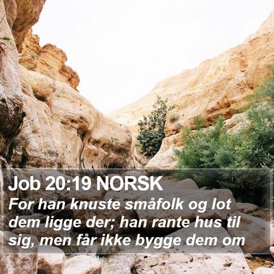 Job 20:19 NORSK Bible Verse Image