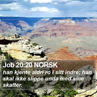 Job 20:20 NORSK Bible Verse Image