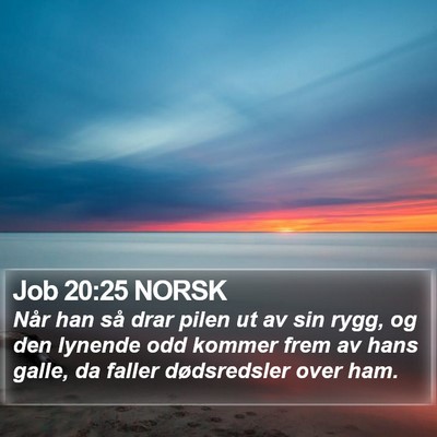 Job 20:25 NORSK Bible Verse Image