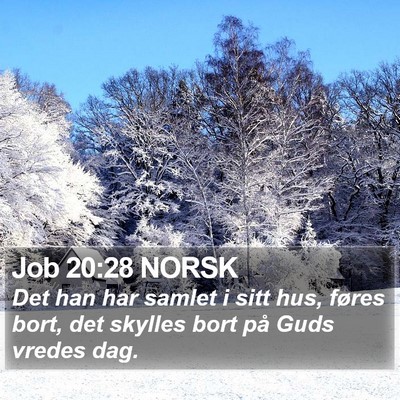 Job 20:28 NORSK Bible Verse Image