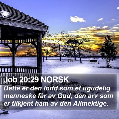 Job 20:29 NORSK Bible Verse Image