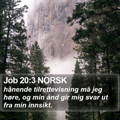 Job 20:3 NORSK Bible Verse Image