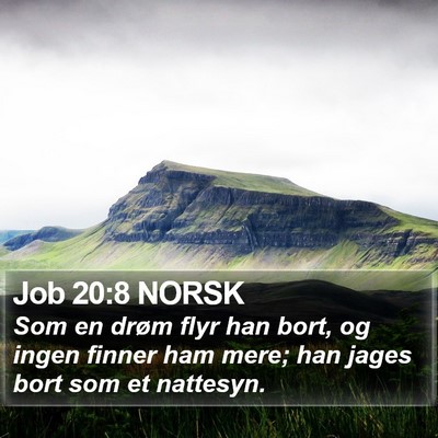 Job 20:8 NORSK Bible Verse Image
