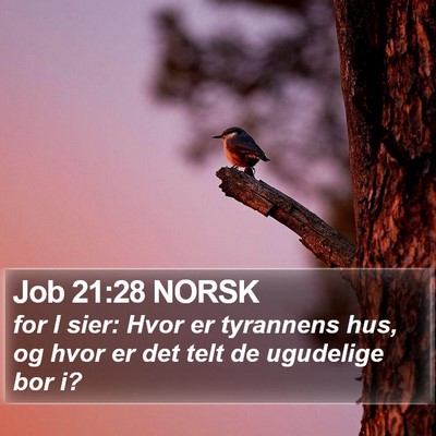 Job 21:28 NORSK Bible Verse Image