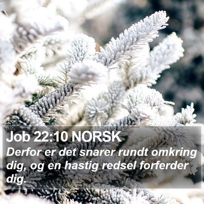 Job 22:10 NORSK Bible Verse Image