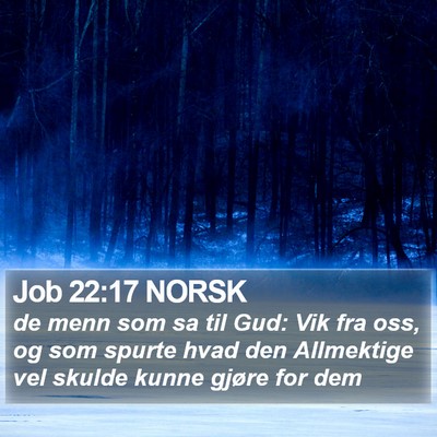 Job 22:17 NORSK Bible Verse Image