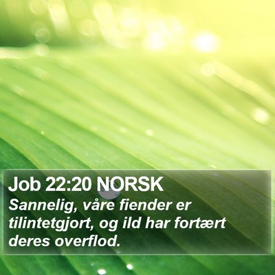 Job 22:20 NORSK Bible Verse Image