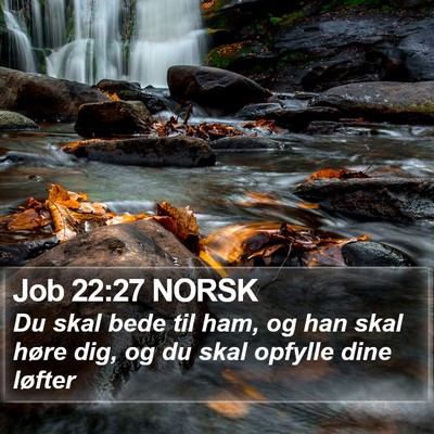 Job 22:27 NORSK Bible Verse Image