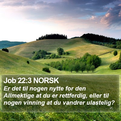 Job 22:3 NORSK Bible Verse Image