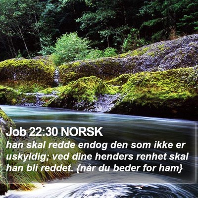 Job 22:30 NORSK Bible Verse Image