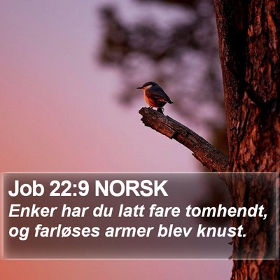 Job 22:9 NORSK Bible Verse Image