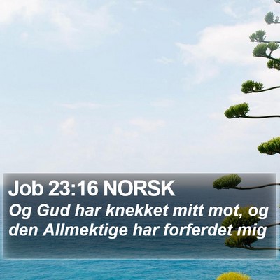 Job 23:16 NORSK Bible Verse Image