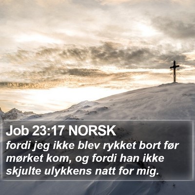 Job 23:17 NORSK Bible Verse Image