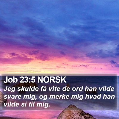 Job 23:5 NORSK Bible Verse Image