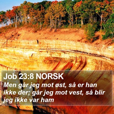 Job 23:8 NORSK Bible Verse Image